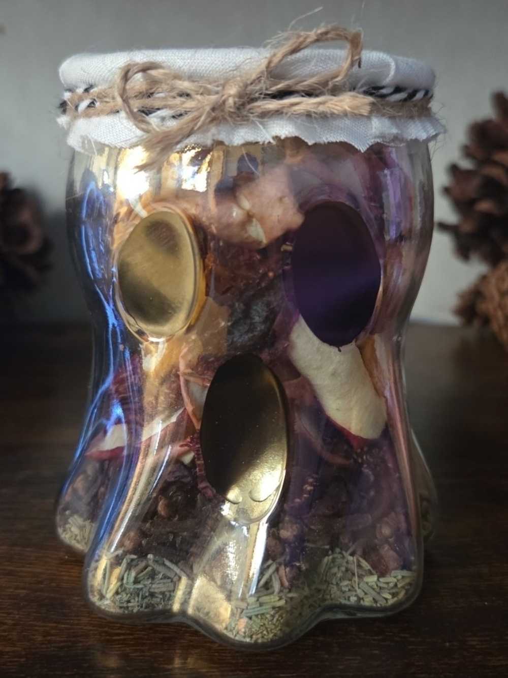 Handmade Halloween Simmer Pot Kit | Homemade Dehydrated Fruit & Spices